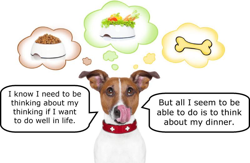 The graphic shows a dog with 3 thought bubbles above its head. One shows kibble, one vegetables and one a bone. The dog says "I know I need to be thinking about my thinking if I want to do well in life but all I seem to be able to think about is my dinner."