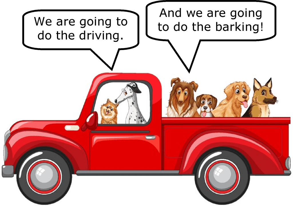 Collaboration in action. We are going to do the driving. And we are going to do the barking!