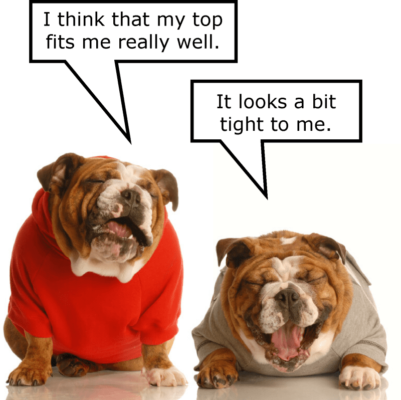 The graphic shows two bulldogs. One dog in a red top says "I think my top fits me really well." The other dog in a brown top says "It looks a bit tight to me".