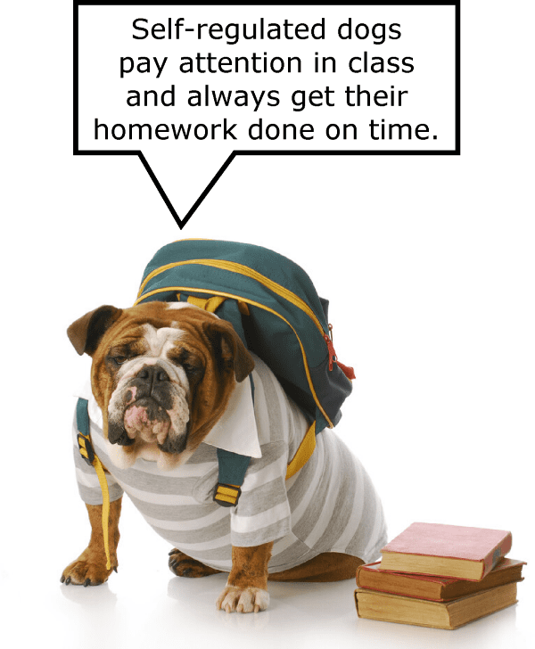 The graphic shows a bulldog with a rucksack on its back saying "Self-regulated dogs pay attention in class and always get their homework done on time."