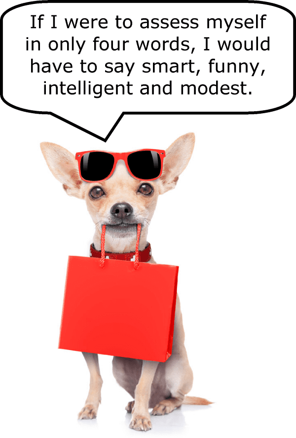 The graphic shows a trendy dog with sunglasses perched on its head saying "If I were to assess myself in only four words, I would have to say smart, funny, intelligent and modest."
